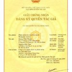 Giấy chứng nhận đăng ký bản quyền tác giả