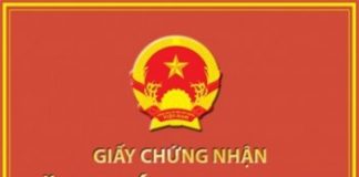 Mẫu giấy chứng nhận đăng ký kinh doanh