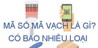 Mã vạch là gì và có bao nhiêu loại mã vạch?