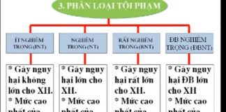 phân loại tội phạm