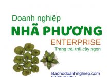 Hộ kinh doanh Nhã Hương